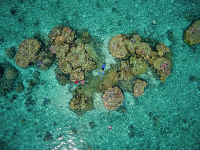 Aerial view of three snorkelers in clear turquoise water off the coast of Tonga, exploring vibrant coral formations.