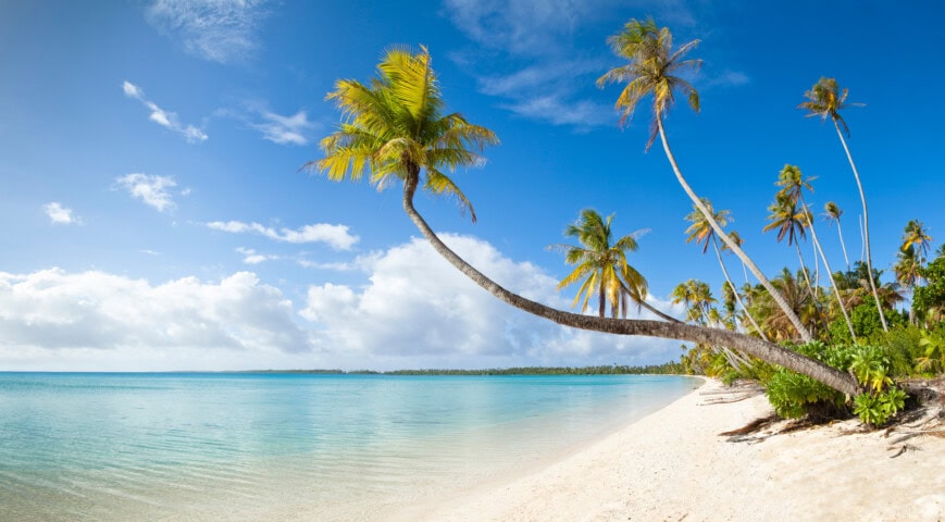 A tropical beach scene with clear blue water, a sandy shore, and tall palm trees leaning towards the ocean under a partly cloudy sky evokes the mesmerizing beauty of the South Pacific.