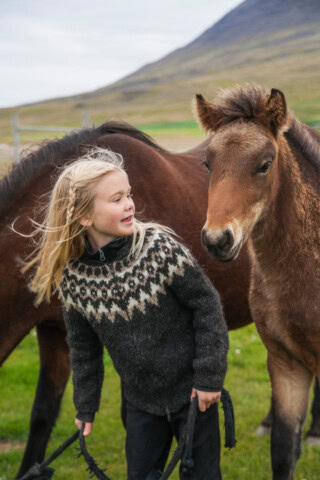 A child wearing a patterned sweater stands beside a brown Icelandic horse and a foal in a grassy field. The child is holding a lead rope and looking at the foal.