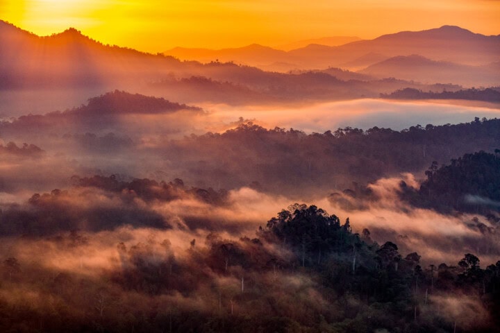 A scenic view of a misty, mountainous landscape at sunrise in Malaysia, with layers of hills and trees illuminated by soft, golden light.