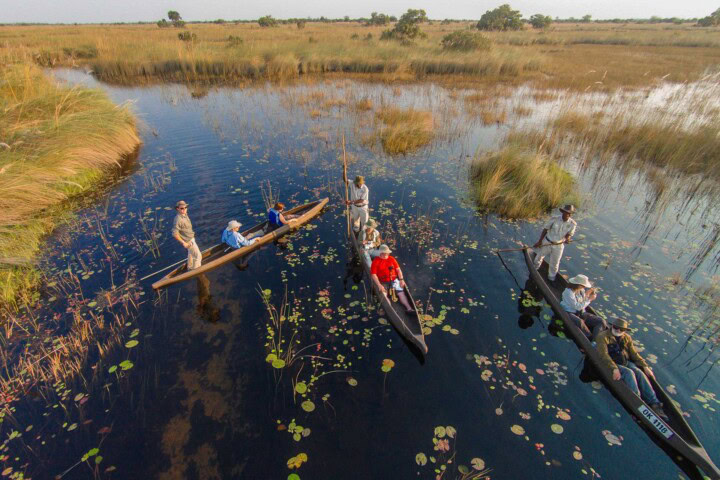Four canoes with travelers aboard paddle through a shallow waterway surrounded by tall grass and floating vegetation, making it an unforgettable trip.