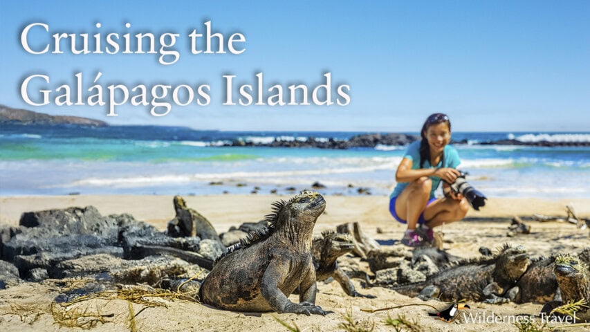 Woman smiling and kneeling by an iguana in the Galapagos Islands