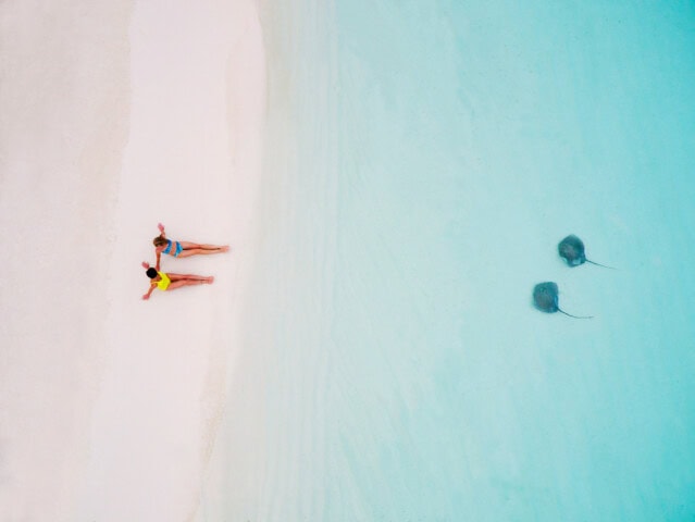 An aerial view of two people sitting on a beach and two manta rays underwater.