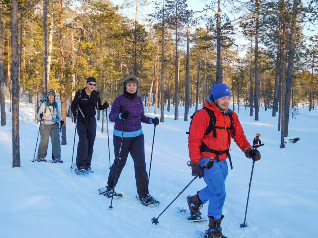 Four people wearing winter gear and using trekking poles walk on a snowy trail through a forest in Finland.