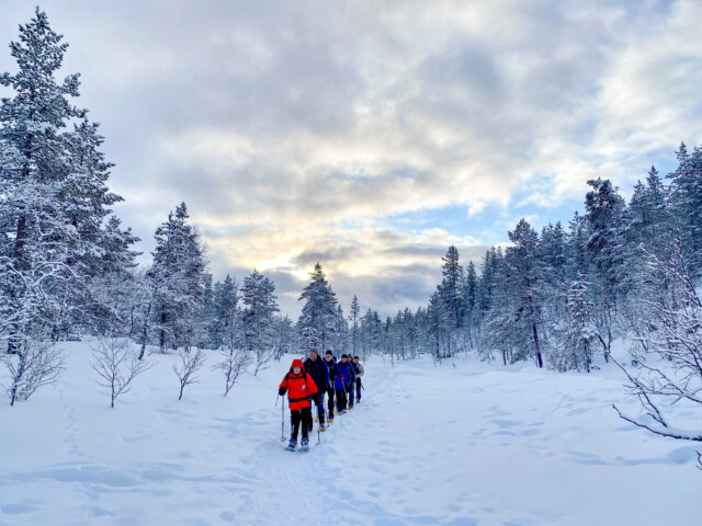 A group of people in winter gear walk through a snowy, forested landscape under a cloudy sky, capturing the serene beauty of Finland's wilderness.