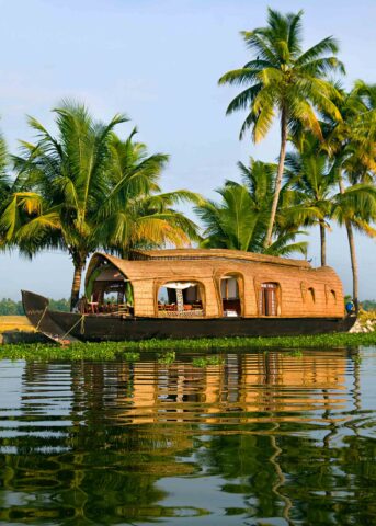 A traditional houseboat floats on a calm water body surrounded by lush palm trees under a clear sky, offering the perfect start to an unforgettable adventure.