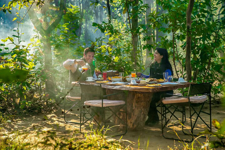 Two people are enjoying a meal at an outdoor table in a lush, forested area, having just completed an exhilarating hike. The table is set with various food and drinks, and sunlight filters through the trees.