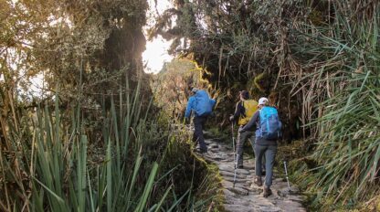 Three hikers with backpacks and walking poles ascend a rocky trail through dense vegetation on a sunny day, their footsteps echoing the ancient paths of the Incas, making each step a vibrant chapter in their travel adventure.
