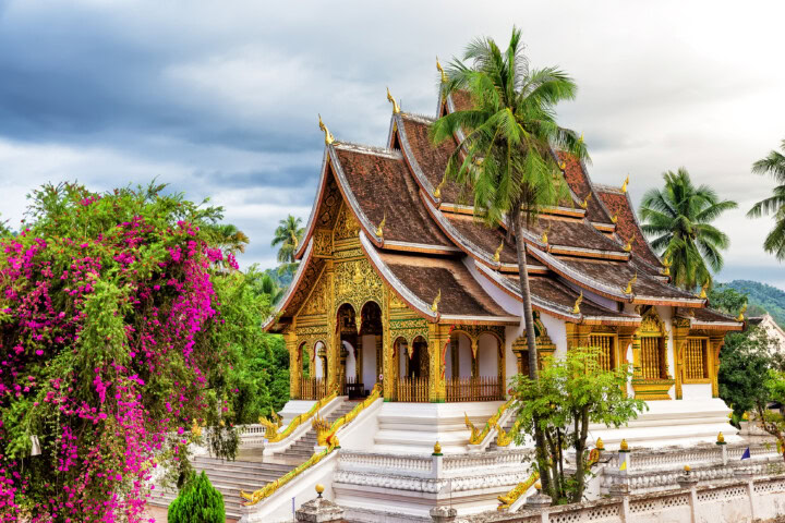 A golden temple with intricate designs and a sloping roof, reminiscent of the stunning temples in Laos, is surrounded by palm trees and vibrant flowers under a cloudy sky.