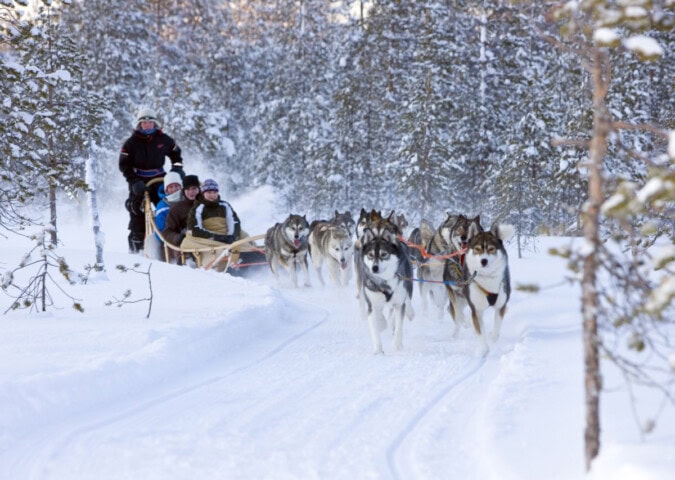 A team of sled dogs pulls a sled with three passengers through a snowy forest trail in Finland, led by two people at the front.