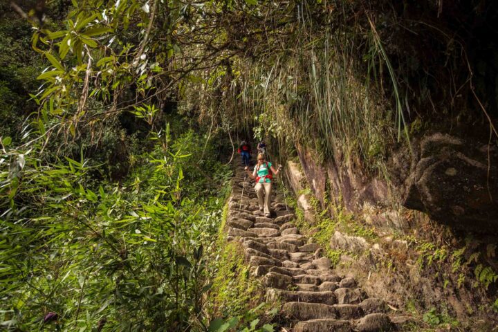 A tourist climbing steps on the Inca trail hike.