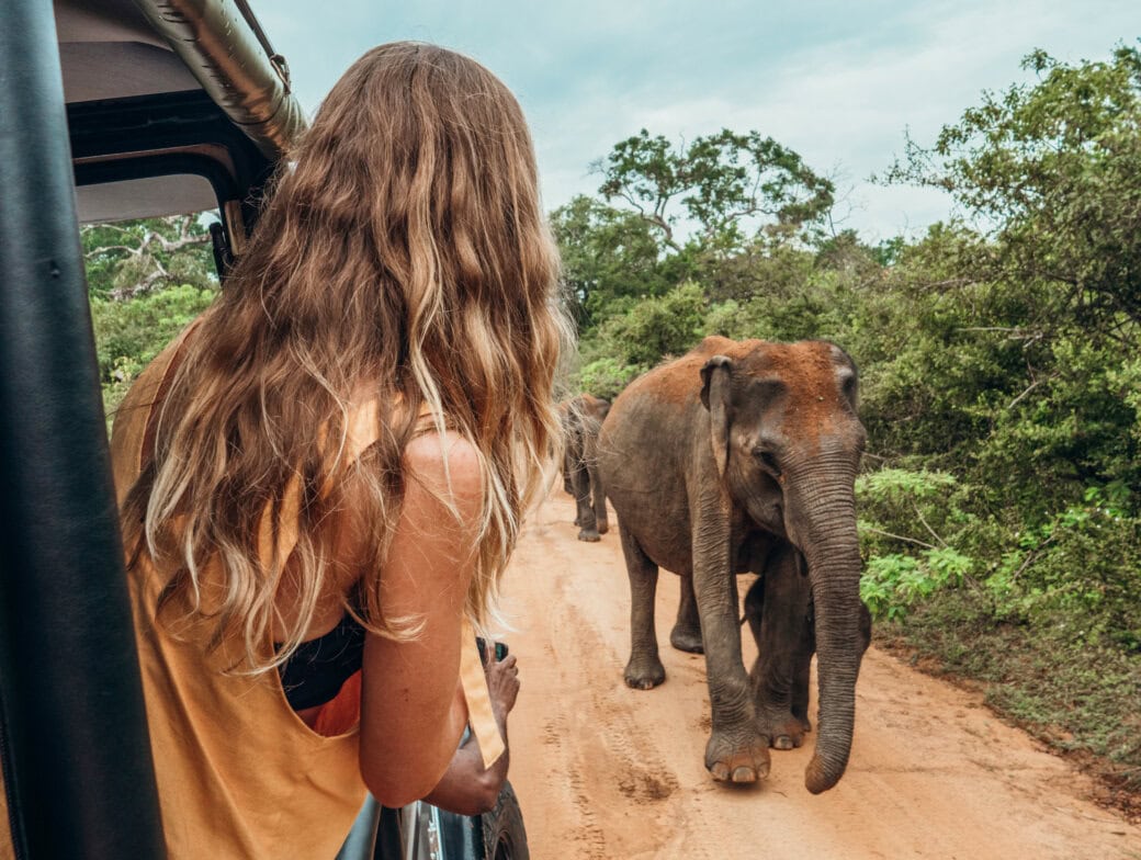 A person leans out of a vehicle on a dirt road, guided by adventure, observing elephants walking towards them through a green, wooded area.