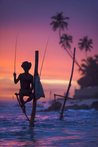 A person fishing on a stilt in the ocean at sunset, with palm trees and a colorful Sri Lankan sky in the background.