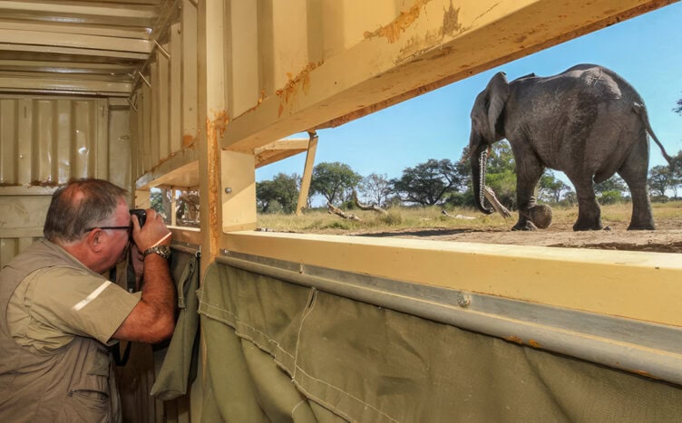 A traveler in a safari vehicle takes a photo of an elephant walking nearby, capturing the thrill of adventure through the window opening.