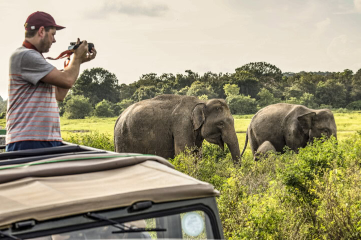 A man in a striped shirt and cap takes photos of three elephants from a vehicle in a grassy, wooded area, capturing memories of his travel experience in Sri Lanka.