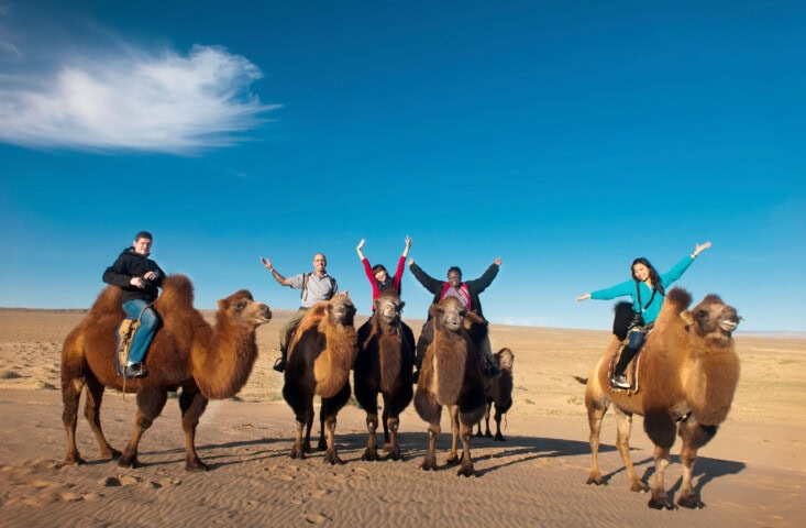 Five people are riding camels in the vast desert of Mongolia, their arms raised triumphantly against a clear blue sky.