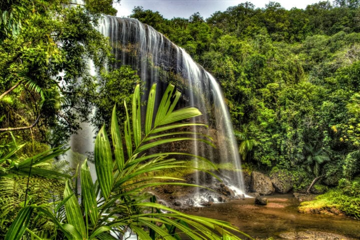 A tall waterfall cascades over a rocky cliff surrounded by dense green foliage and trees, with large leaves in the foreground on a Pacific island, reminiscent of Palau's pristine landscapes.