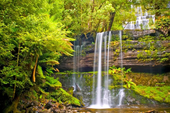 A lush green forest scene in Tasmania with a waterfall cascading over moss-covered rocks into a shallow pool, surrounded by dense foliage and ferns. A true gem for any travel enthusiast, this destination is perfect for those seeking to immerse themselves in nature's beauty.