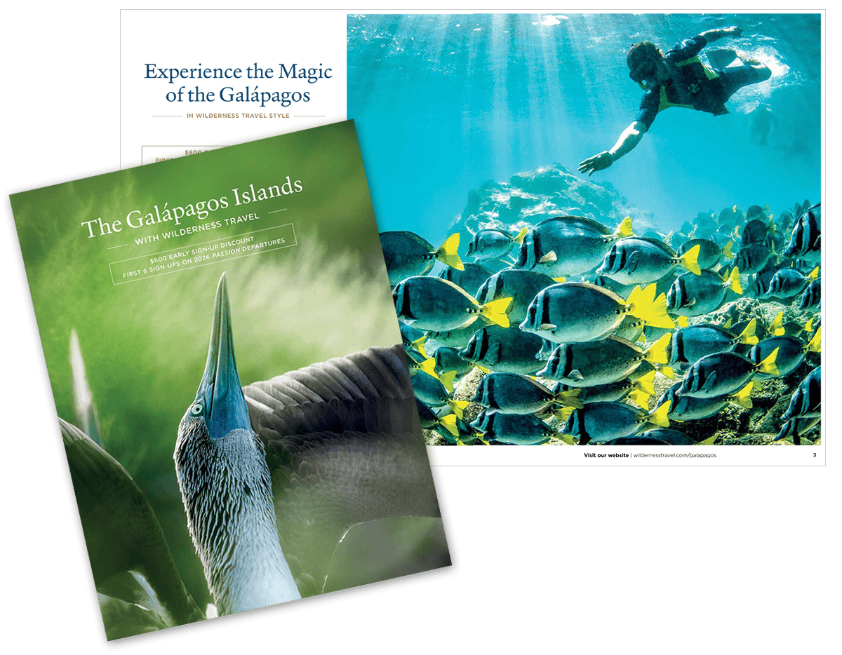 A travel brochure for the Galapagos Islands features a blue-footed booby on the cover and an interior photo of a snorkeler swimming with a large school of fish.
